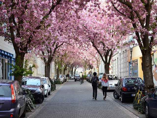 بهار در آلمان